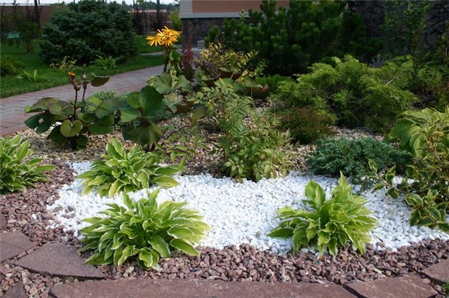 мраморная галька клумба